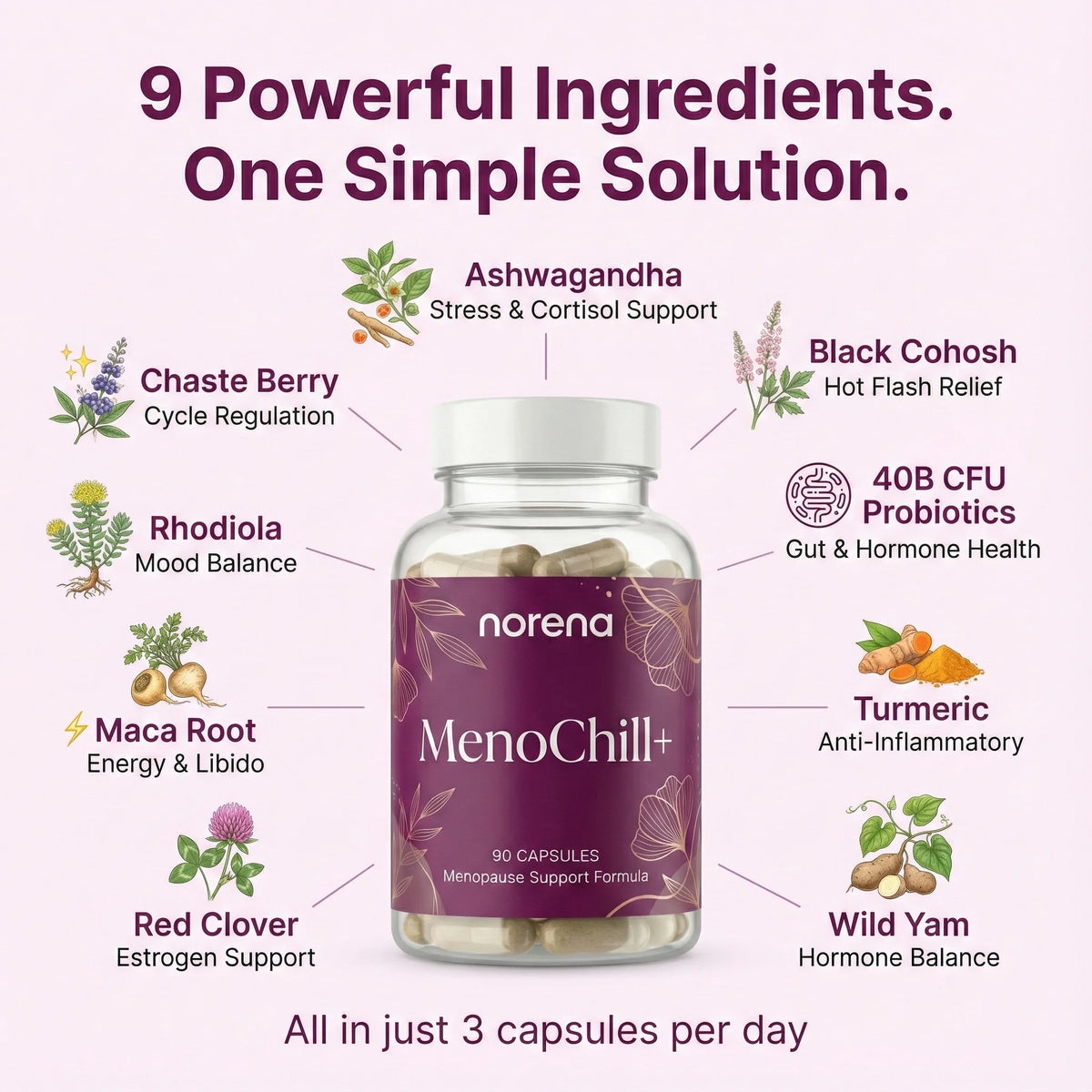 Norena™ MenoChill+ Capsules
